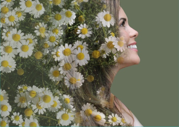 Profile portrait blended with white flowers